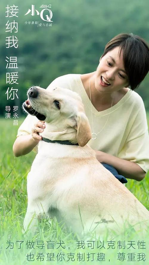 代办南加州大学文凭